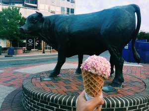 We celebrating National Dessert Day with ice-cream at The Parlour in Durham. 