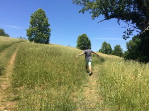 Hubs frolicking in the meadows